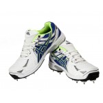 HDL Cricket Terminator Shoes Full Spikes White Blue Green'
